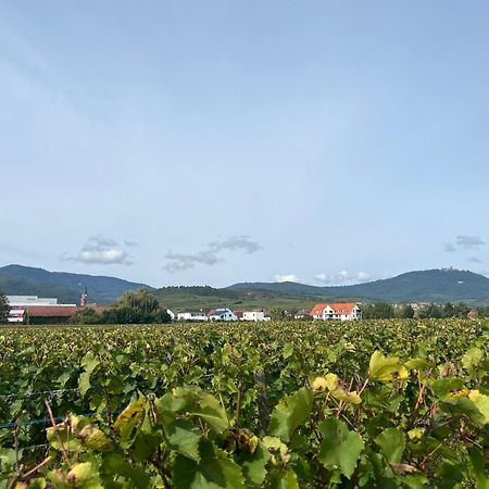 Oasis Tout Confort A Bergheim, Alsace Εξωτερικό φωτογραφία