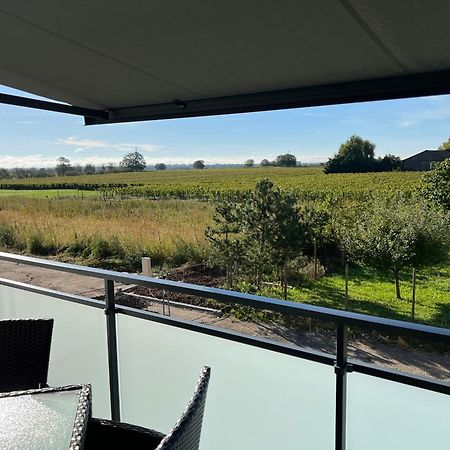 Oasis Tout Confort A Bergheim, Alsace Εξωτερικό φωτογραφία