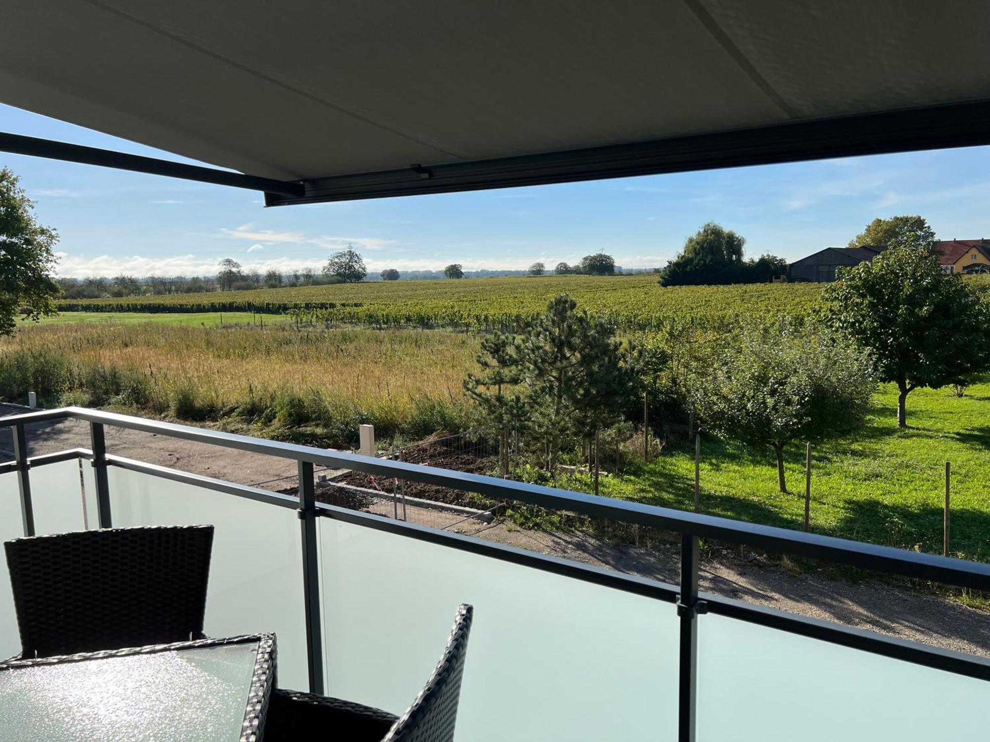 Oasis Tout Confort A Bergheim, Alsace Εξωτερικό φωτογραφία